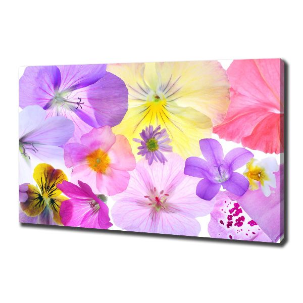 Canvas wall art Pansies