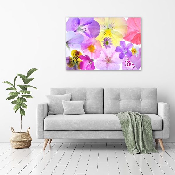 Canvas wall art Pansies