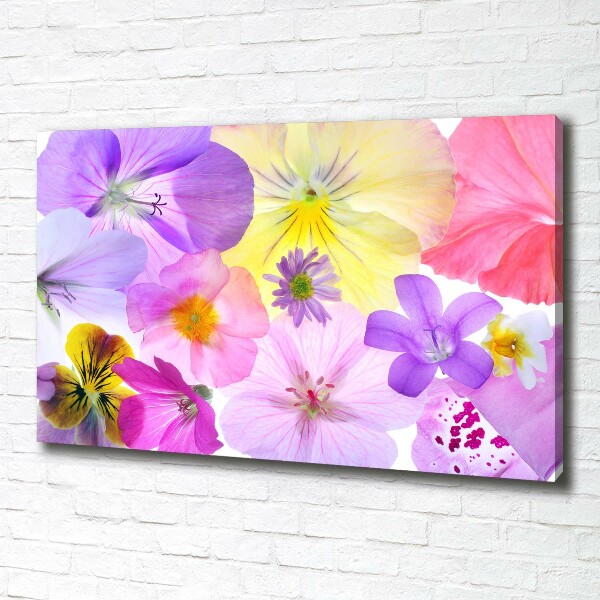 Canvas wall art Pansies