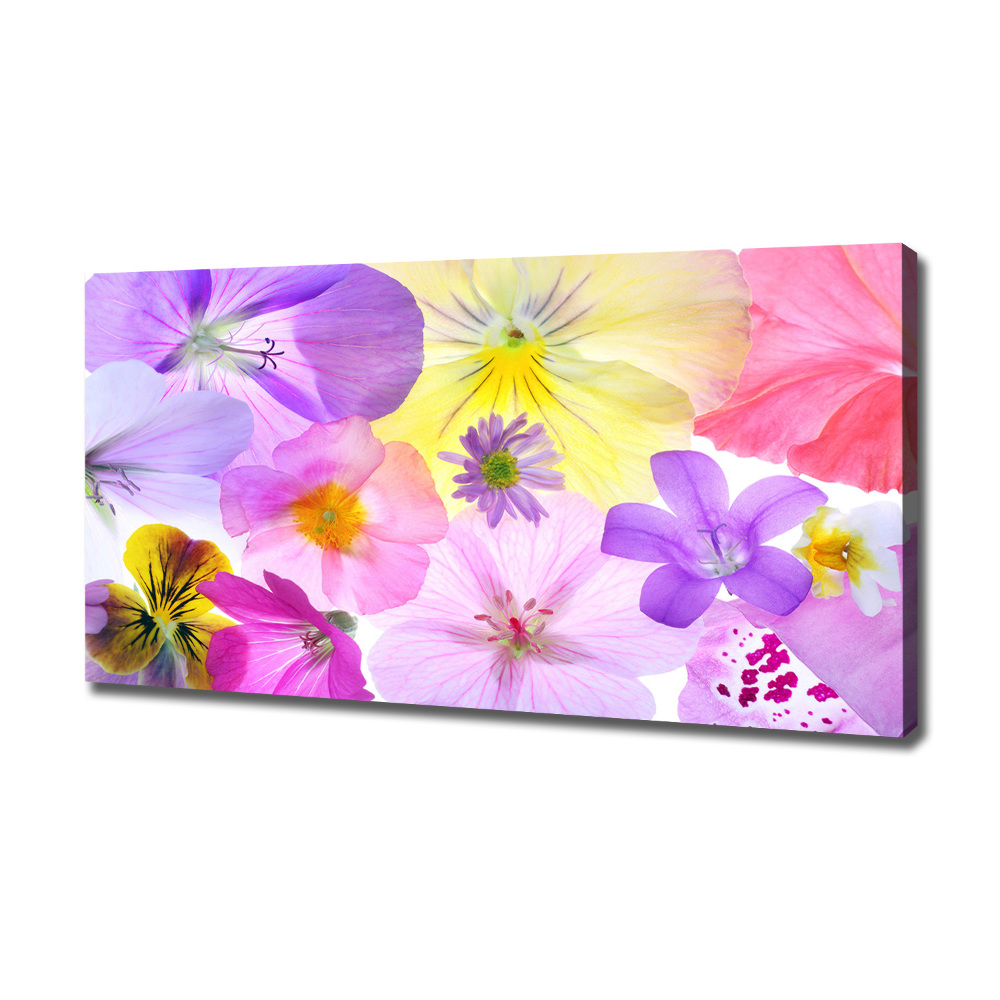 Canvas wall art Pansies