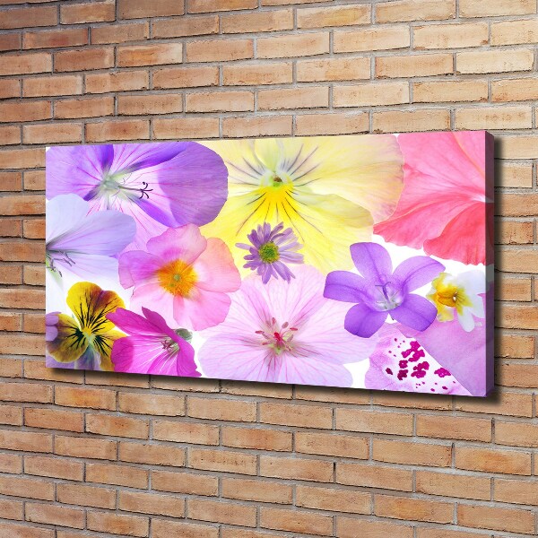 Canvas wall art Pansies