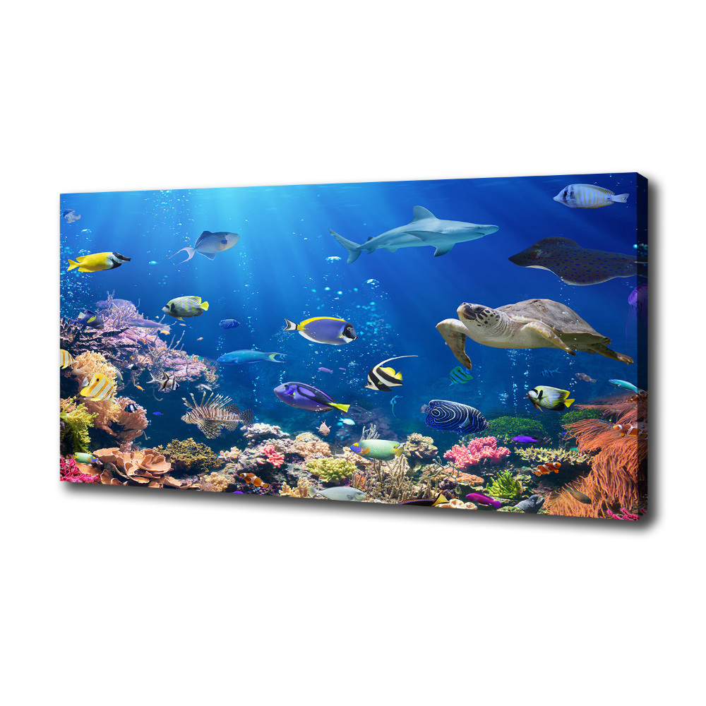 Canvas wall art Coral reef