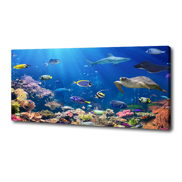 Canvas wall art Coral reef