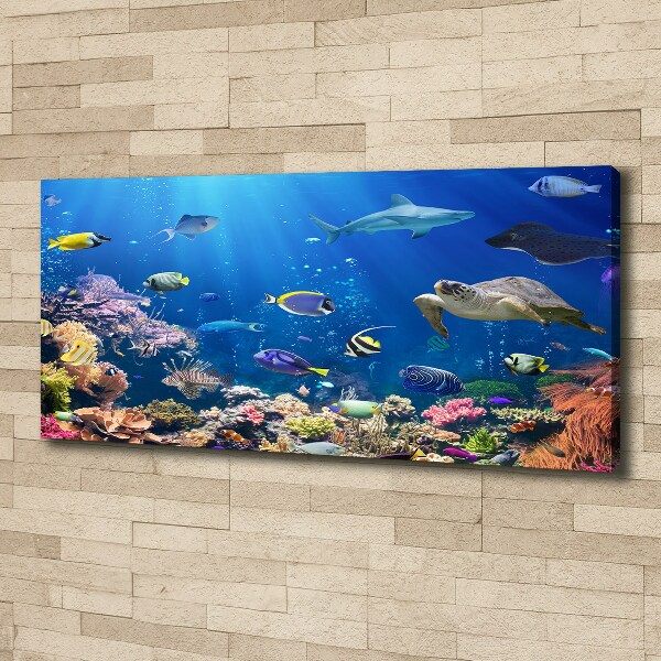 Canvas wall art Coral reef