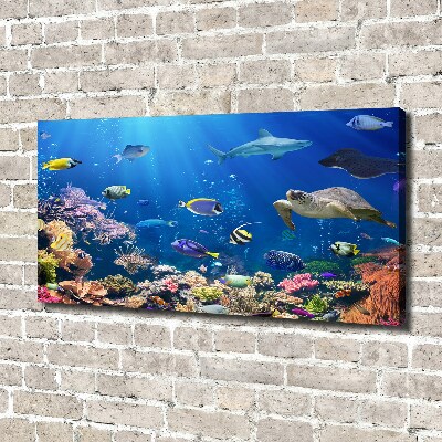 Canvas wall art Coral reef