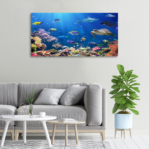 Canvas wall art Coral reef