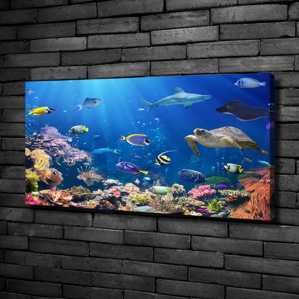 Canvas wall art Coral reef