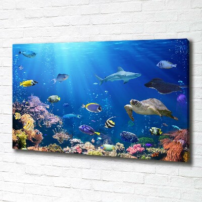 Canvas wall art Coral reef