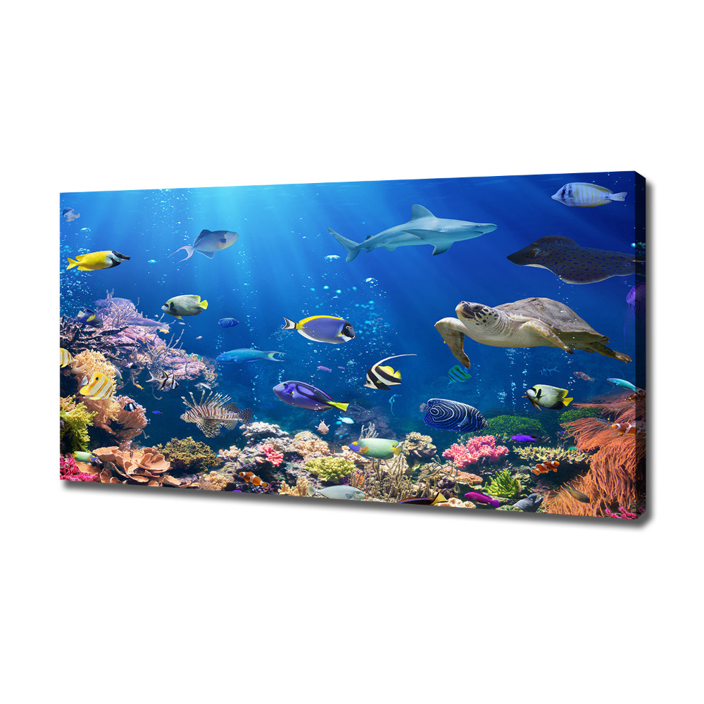 Canvas wall art Coral reef