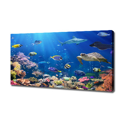 Canvas wall art Coral reef