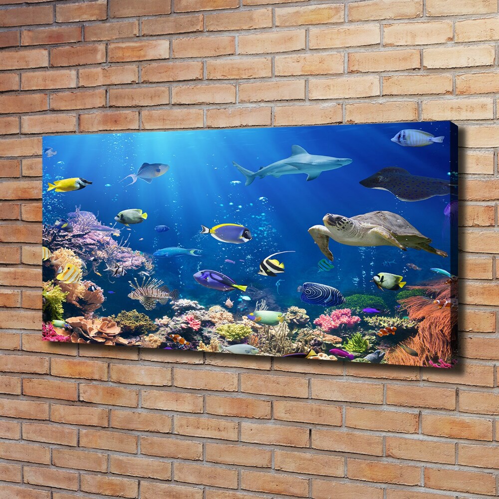 Canvas wall art Coral reef