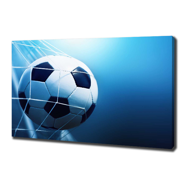 Canvas wall art Ball in the goal