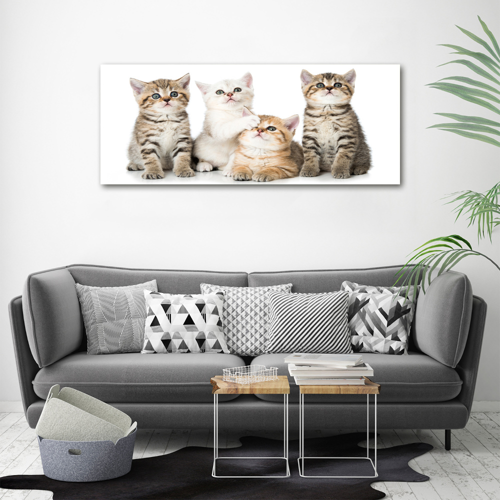 Canvas wall art Little cats