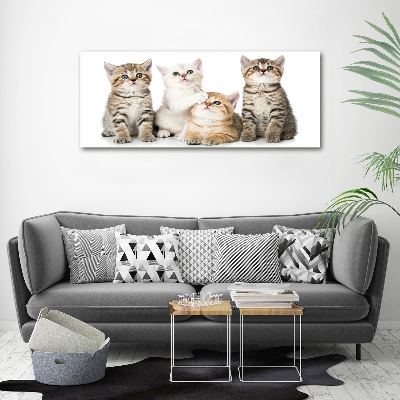 Canvas wall art Little cats