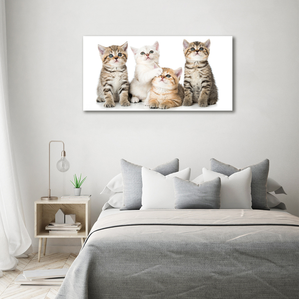 Canvas wall art Little cats