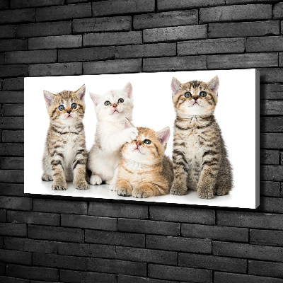 Canvas wall art Little cats