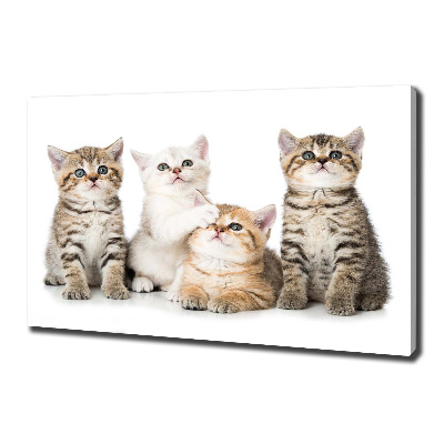 Canvas wall art Little cats