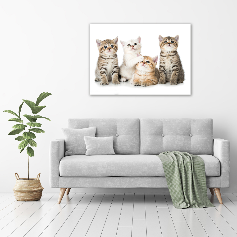 Canvas wall art Little cats