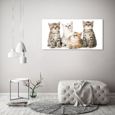 Canvas wall art Little cats