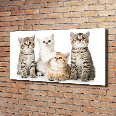 Canvas wall art Little cats