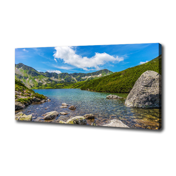 Canvas wall art Tatry Valley