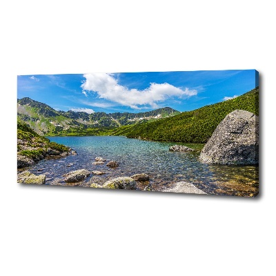 Canvas wall art Tatry Valley