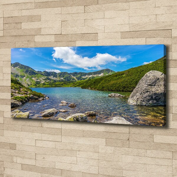 Canvas wall art Tatry Valley