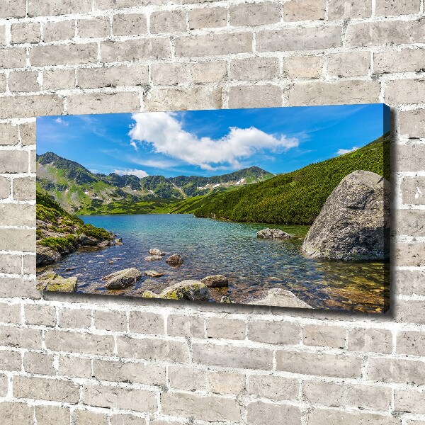 Canvas wall art Tatry Valley