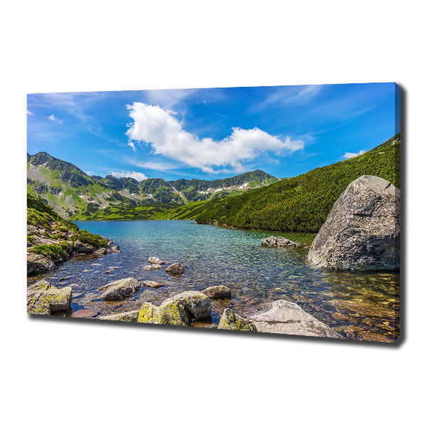 Canvas wall art Tatry Valley