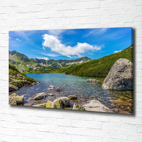 Canvas wall art Tatry Valley