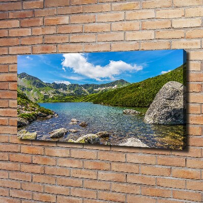 Canvas wall art Tatry Valley