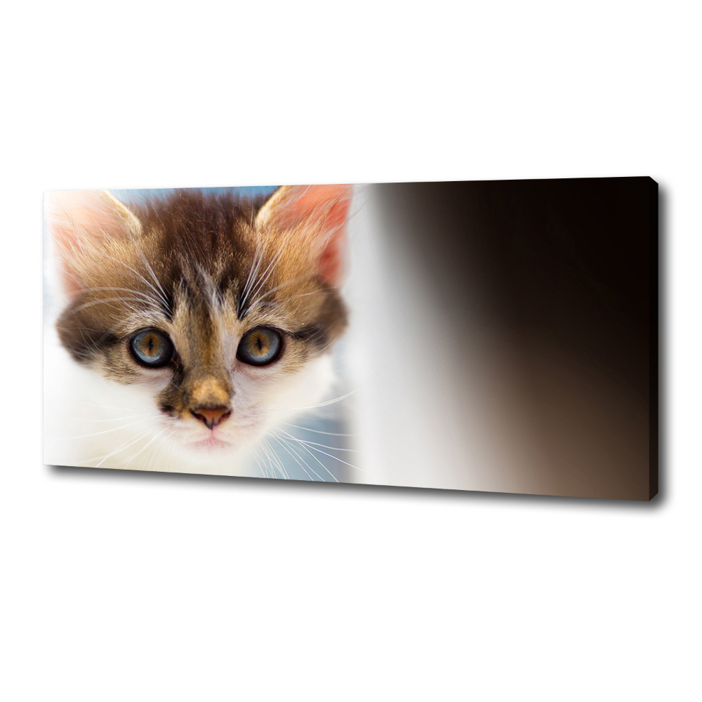 Canvas wall art Small cat