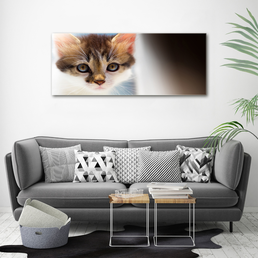 Canvas wall art Small cat