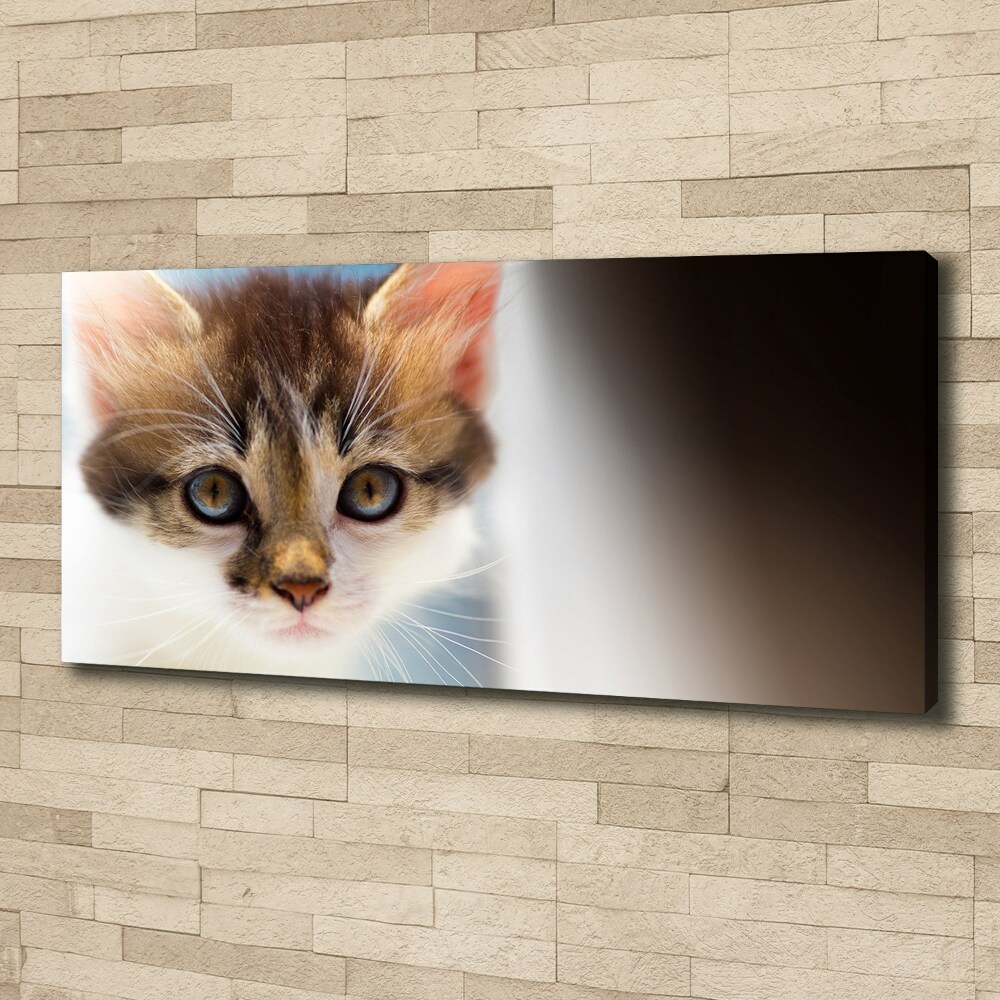 Canvas wall art Small cat