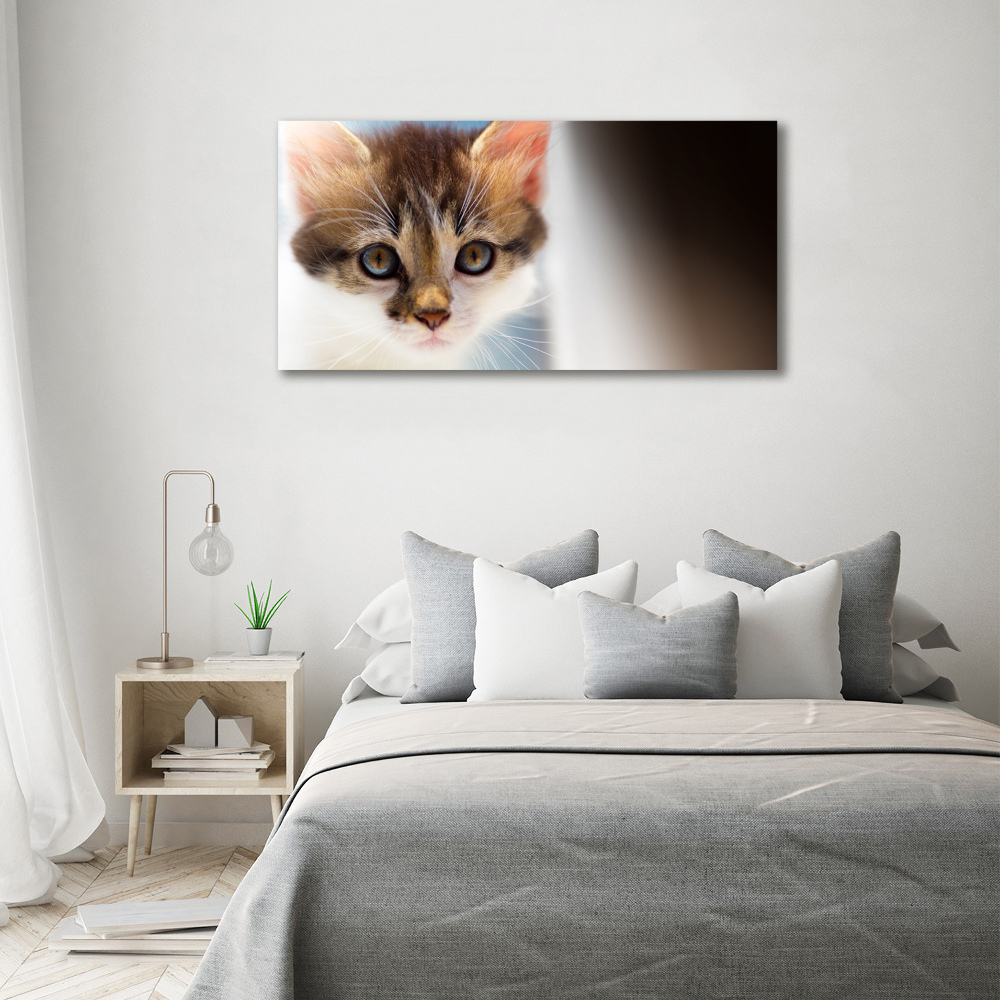 Canvas wall art Small cat