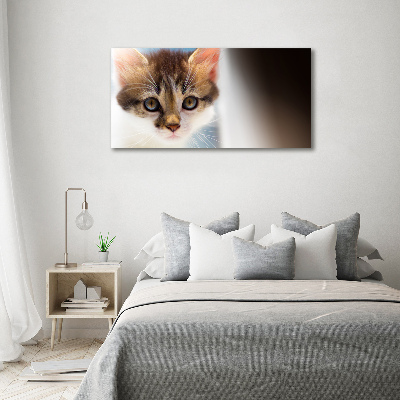 Canvas wall art Small cat