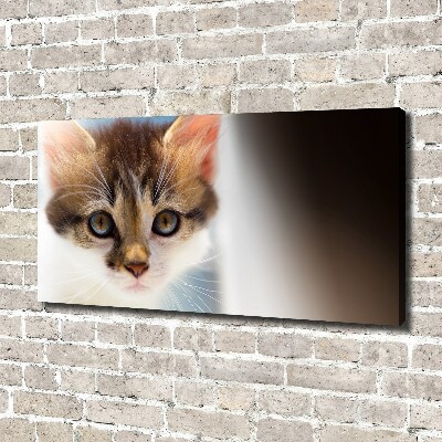 Canvas wall art Small cat