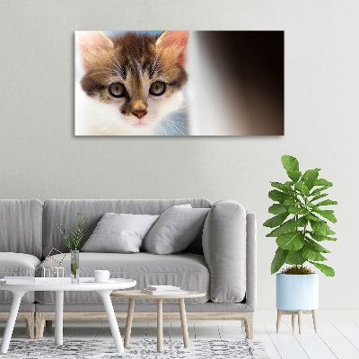 Canvas wall art Small cat