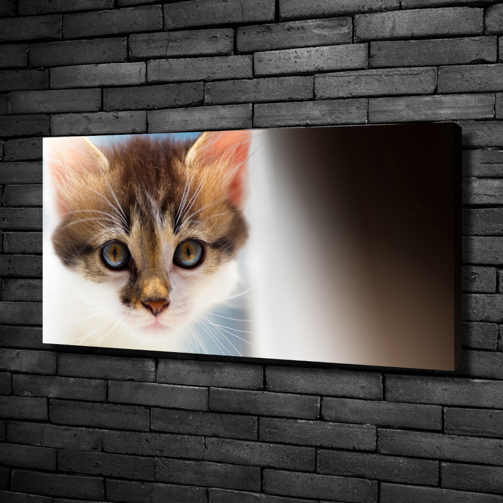 Canvas wall art Small cat