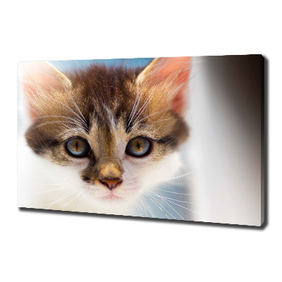 Canvas wall art Small cat