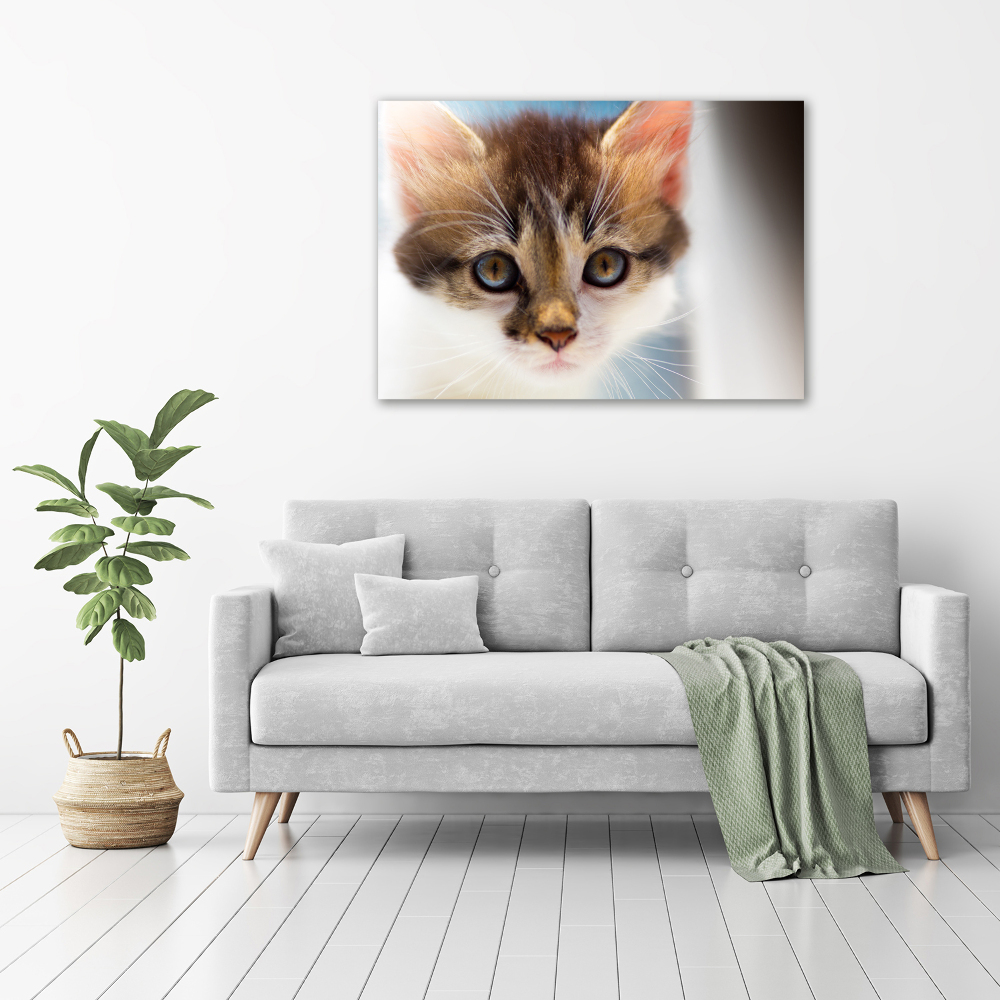 Canvas wall art Small cat