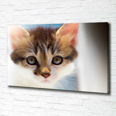 Canvas wall art Small cat