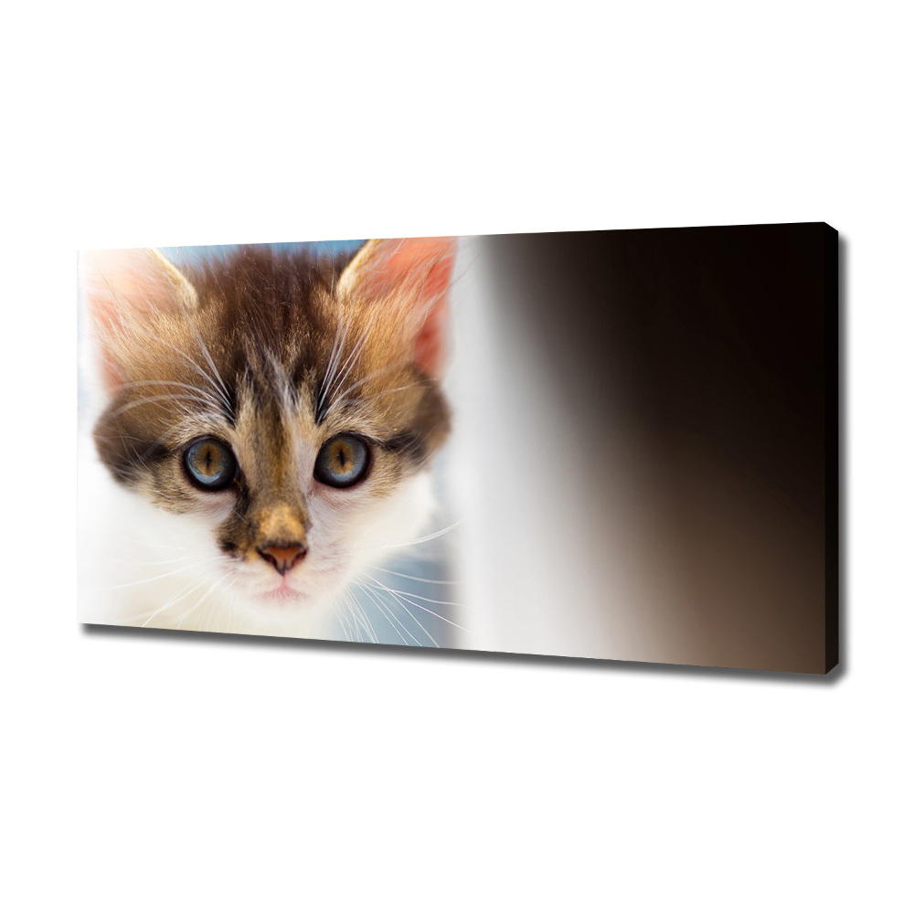 Canvas wall art Small cat