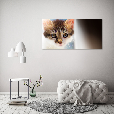 Canvas wall art Small cat