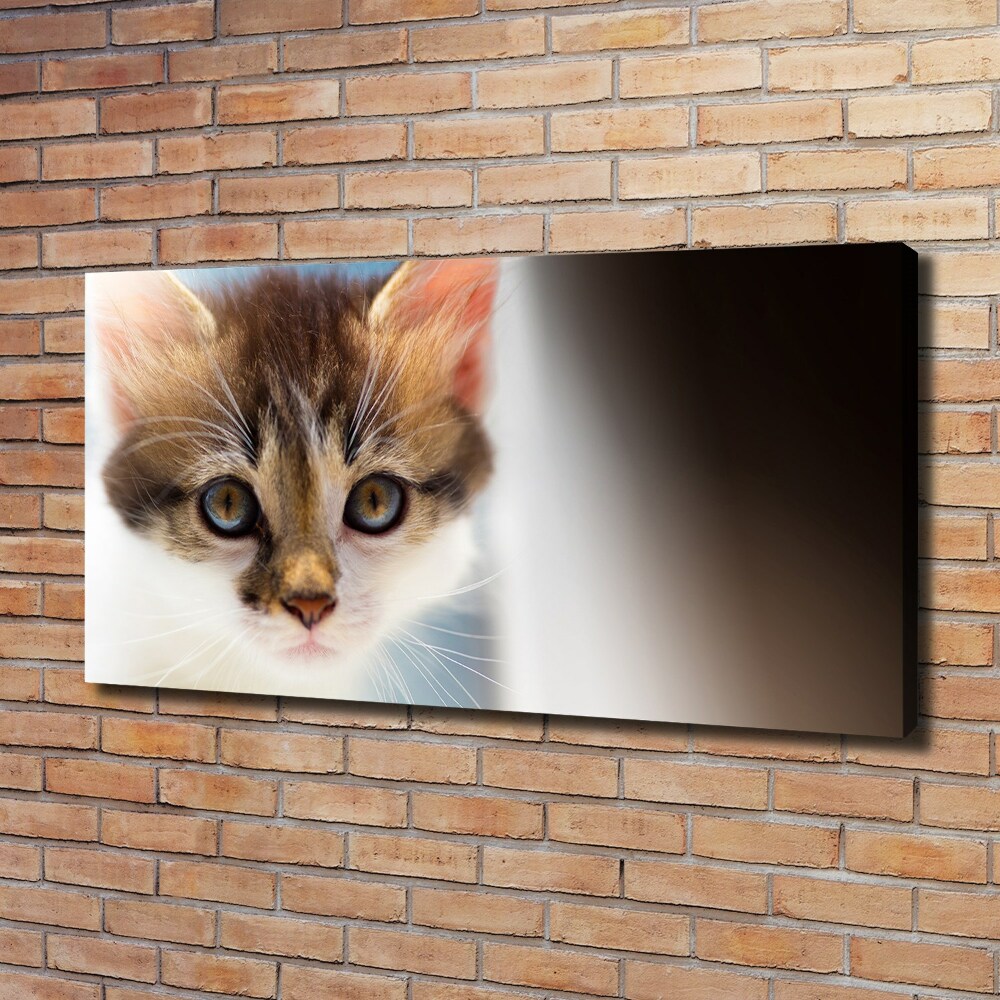 Canvas wall art Small cat