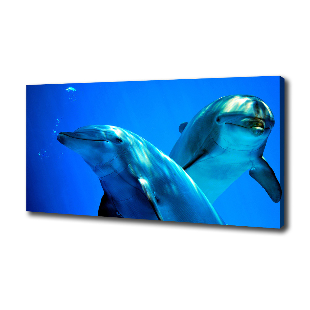 Canvas wall art Two dolphins