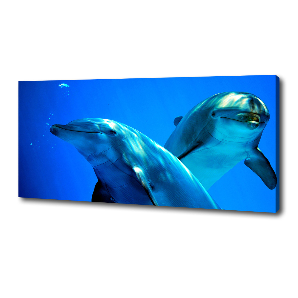 Canvas wall art Two dolphins