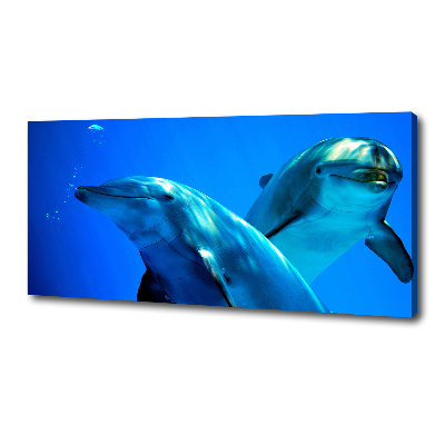 Canvas wall art Two dolphins