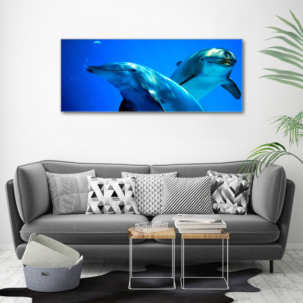 Canvas wall art Two dolphins