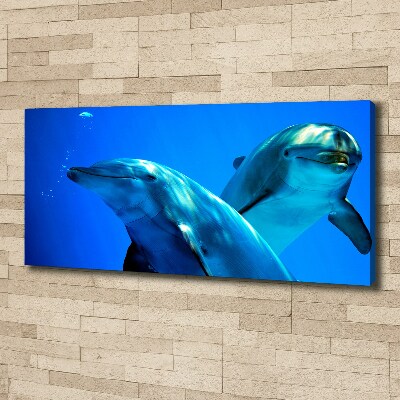 Canvas wall art Two dolphins